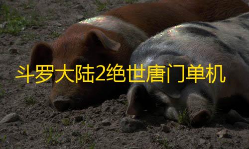 臭猫扫号日记地铁斗罗大陆2绝世唐门单机版