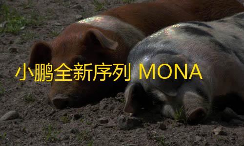 地铁逃生辅助器下载小鹏全新序列 MONA M03 上市在即
，全新 P7+ 能否重振销量？